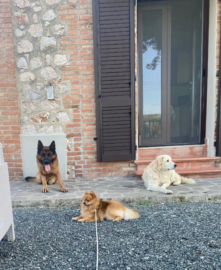 Casa Vacanze Arcobaleno Grosseto Exterior photo